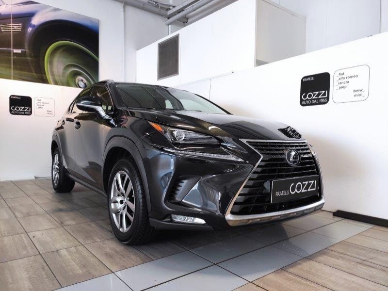 LEXUS NX 1ª serie NX Hybrid Business - Cozzi